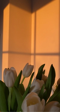 1670514767_1.jpeg?f=webp&w=200