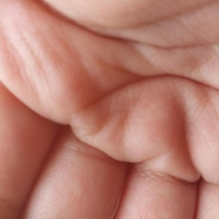 1671122698_1.jpg?f=webp&w=200