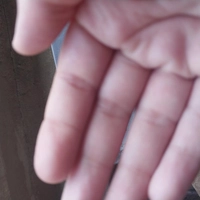 1671124283_1.jpg?f=webp&w=200