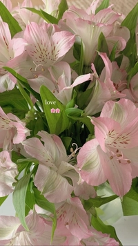 1672843212_1.jpeg?f=webp&w=200