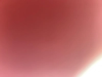 1677868297_1.jpg?f=webp&w=200