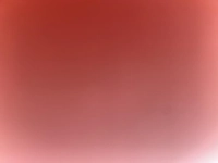 1677869237_1.jpg?f=webp&w=200