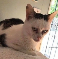 1678322674_1.jpeg?f=webp&w=200