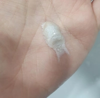 1679170627_2.jpeg?f=webp&w=200