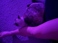 1679247341_1.jpeg?f=webp&w=200