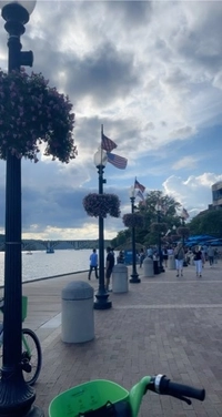 1679268436_1.jpeg?f=webp&w=200