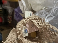 1679436827_1.jpeg?f=webp&w=200