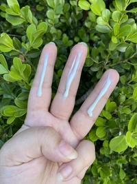 1680330473_2.jpeg?f=webp&w=200