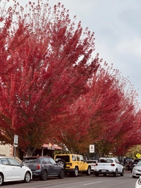 1681045943_1.jpeg?f=webp&w=200