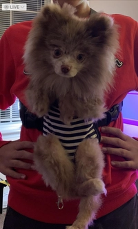 1682561013_1.jpg?f=webp&w=200