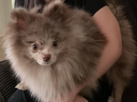 1682561112_1.jpg?f=webp&w=200