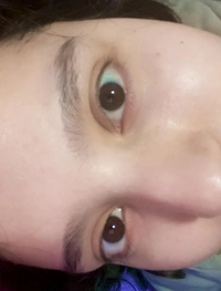 1682826614_1.jpeg?f=webp&w=200