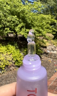 1686376776_1.jpeg?f=webp&w=200
