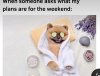 1686578097_1.jpeg?f=webp&w=200