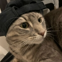1690274637_1.jpeg?f=webp&w=200