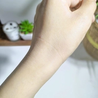 1690682229_3.jpeg?f=webp&w=200
