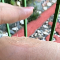 1691294120_2.jpeg?f=webp&w=200
