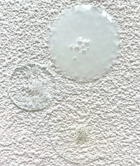 1691558742_2.jpeg?f=webp&w=200
