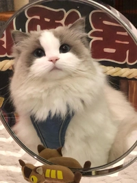 1693768537_1.jpeg?f=webp&w=200