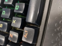 1694492341_1.jpg?f=webp&w=200