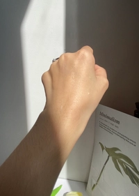 1695217441_3.jpeg?f=webp&w=200