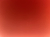 1695407922_2.jpg?f=webp&w=200