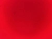 1696480084_1.jpg?f=webp&w=200