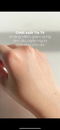 1697821159_3.png?f=webp&w=200