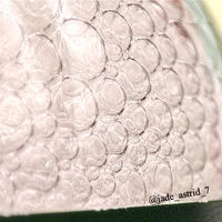 1700679236_2.jpg?f=webp&w=200