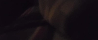 1700718946_1.jpg?f=webp&w=200