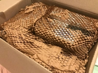 1702311936_1.jpg?f=webp&w=200