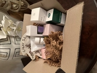 1702403541_1.jpeg?f=webp&w=200