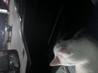1703453474_1.jpeg?f=webp&w=200