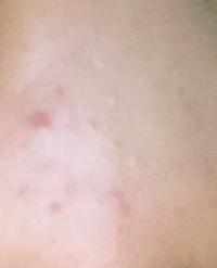 1703805595_2.jpeg?f=webp&w=200