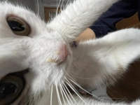 1704870415_1.jpeg?f=webp&w=200