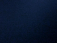 1705014987_1.jpg?f=webp&w=200