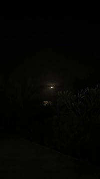 1706432116_1.jpeg?f=webp&w=200