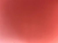 1706987626_2.jpg?f=webp&w=200