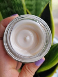 1707390463_2.jpeg?f=webp&w=200