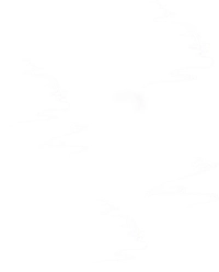 1707688585_1.jpeg?f=webp&w=200