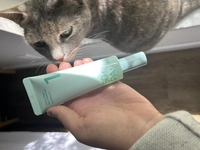 1708801977_1.jpeg?f=webp&w=200