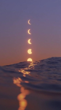 1709737696_1.jpg?f=webp&w=200