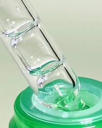 1711204922_1.jpeg?f=webp&w=200