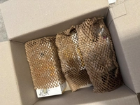 1713281432_1.jpeg?f=webp&w=200