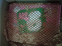 1713593760_1.jpg?f=webp&w=200