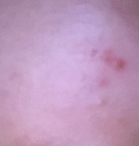 1713596708_1.jpeg?f=webp&w=200