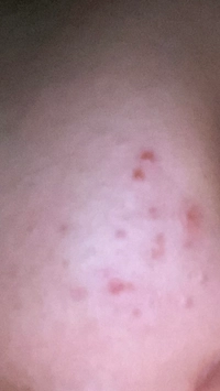 1713596708_2.jpeg?f=webp&w=200