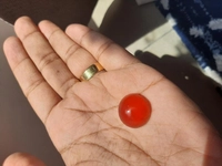 1714123039_3.jpg?f=webp&w=200