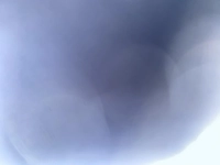 1715525957_1.jpg?f=webp&w=200