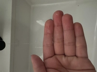 1716084607_1.jpeg?f=webp&w=200